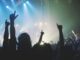 Crowd at live music concert