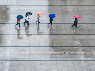 Four people walking in the rain