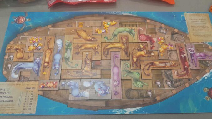 cat game A cat boardgame and necessary snacks
