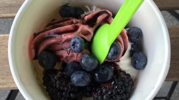 yogurt-1617660_1280 Frozen Yoghurt and berries in paper bowl